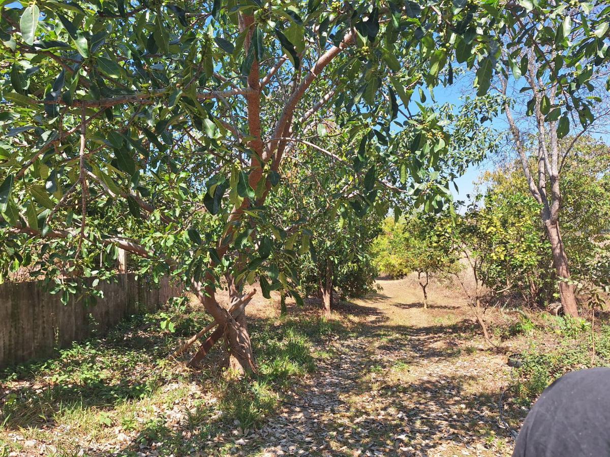 Fazenda, Centro, 4 Quartos, 10 Vagas, 2 Suítes