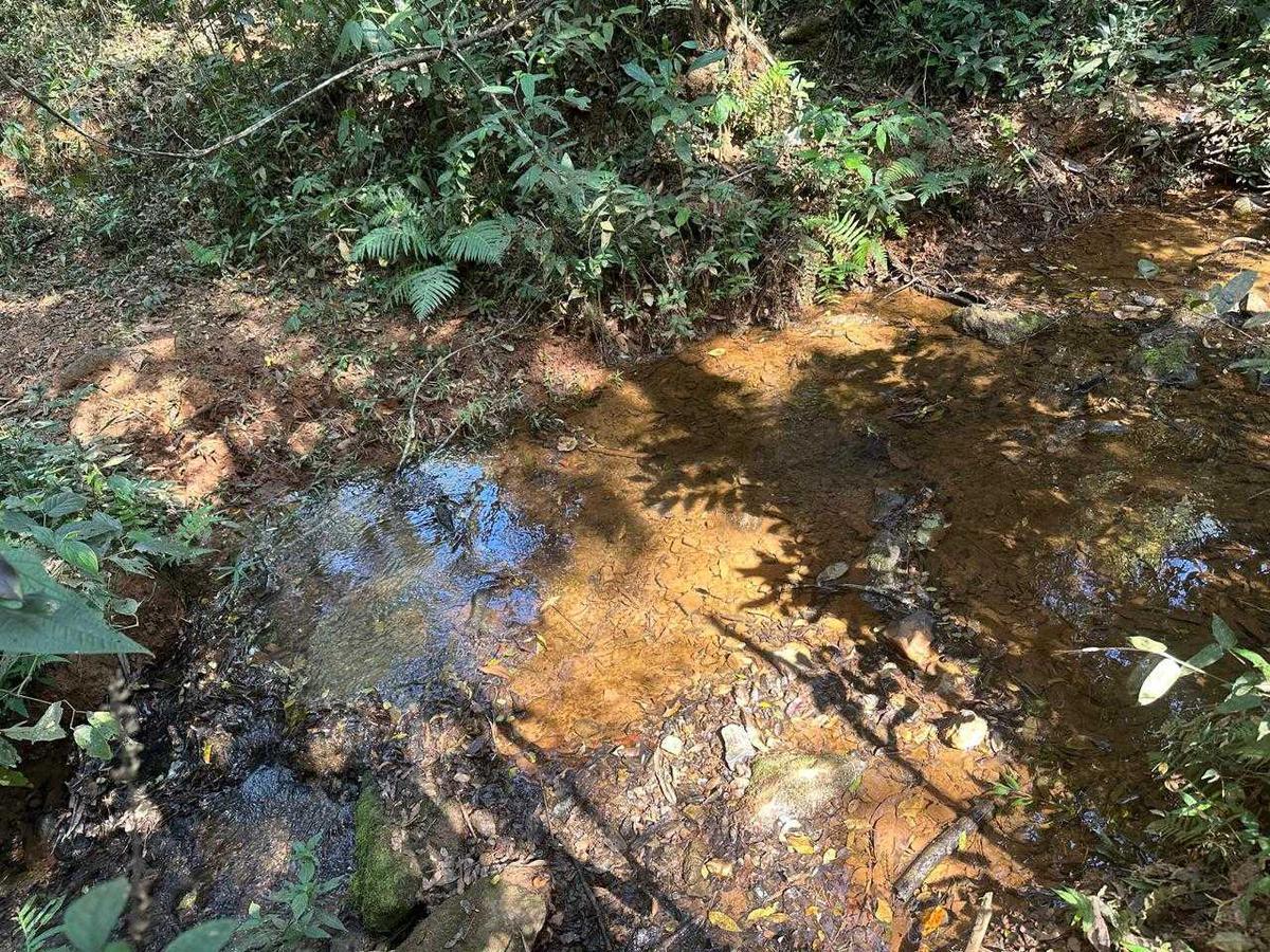 Fazenda, Zona Rural, 0 Quarto, 0 Vaga