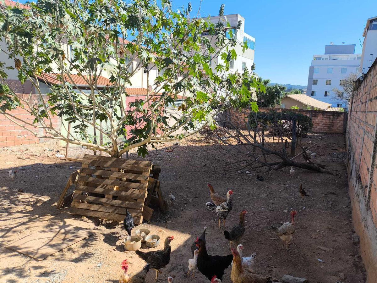 Lote, Pedra Azul, 0 Quarto, 0 Vaga