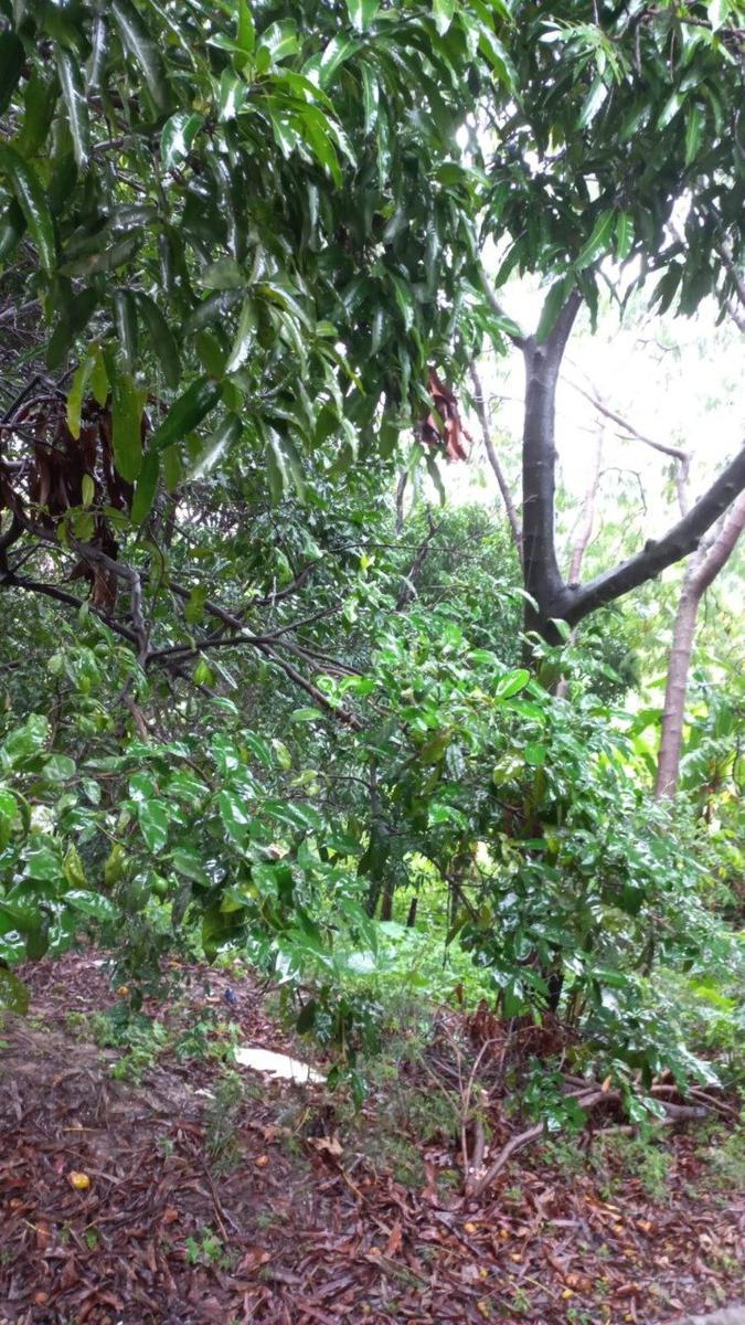 Casa, Jardim Alterosa, 4 Quartos, 2 Vagas, 1 Suíte