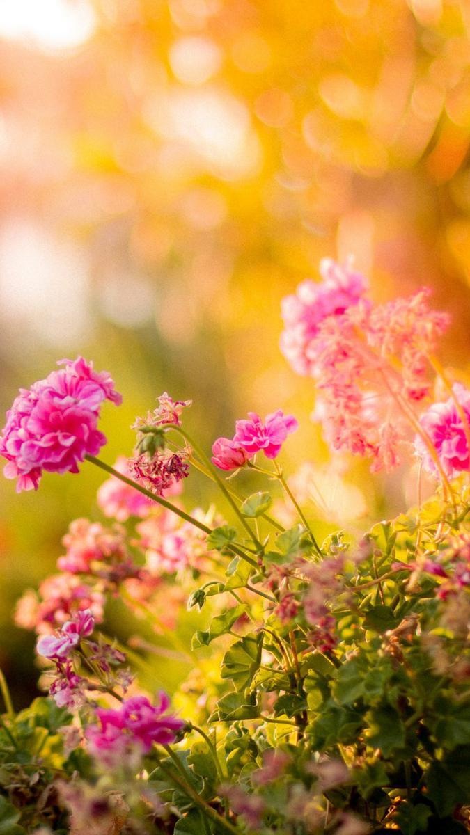 Lote, Gentileza, 0 Quarto, 0 Vaga