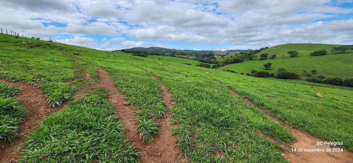 Fazenda, Centro, 3 Quartos, 0 Vaga