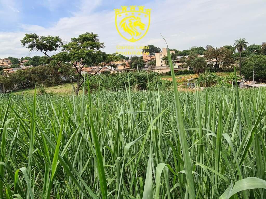 Lote, Estrela do Oriente, 0 Quarto, 50 Vagas