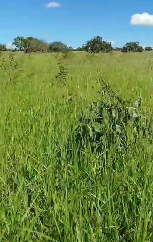Fazenda, Zona Rural, 0 Quarto, 0 Vaga