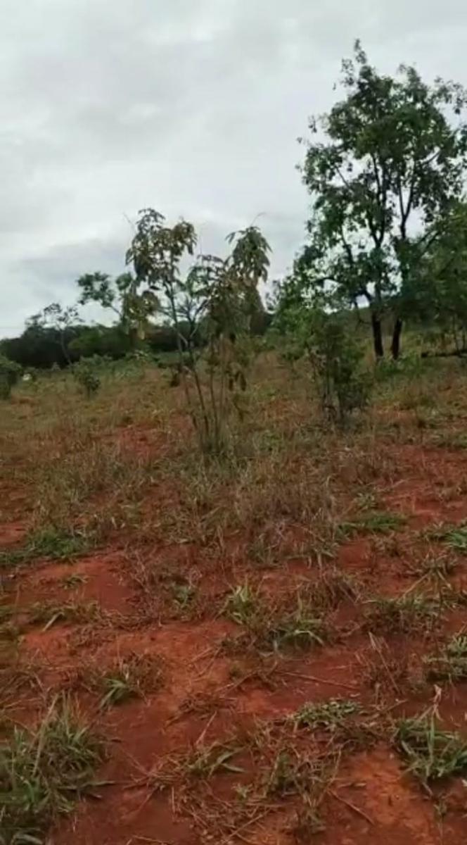 Fazenda, Zona Rural, 0 Quarto, 0 Vaga