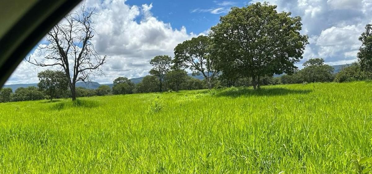 Fazenda, Zona Rural, 0 Quarto, 0 Vaga