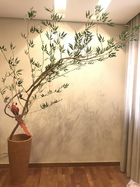 Bambu Mosso Artificial