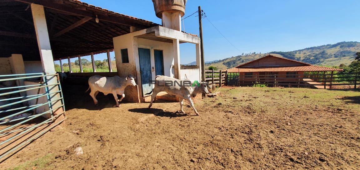 Fazenda, Centro, 2 Quartos, 0 Vaga
