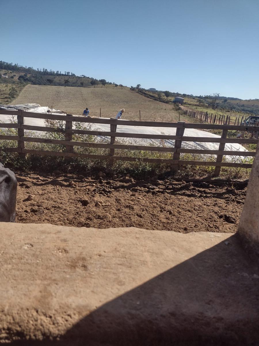 Fazenda, Centro, 1 Quarto, 0 Vaga
