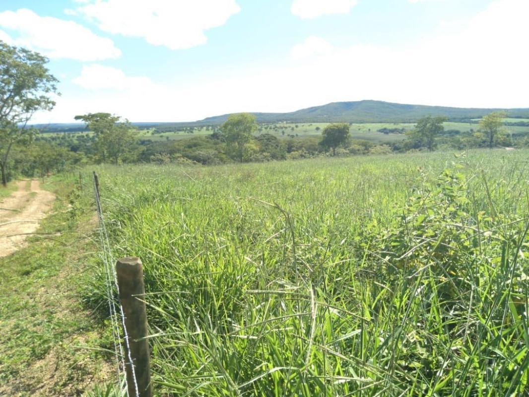 Fazenda, Centro, 0 Quarto, 0 Vaga