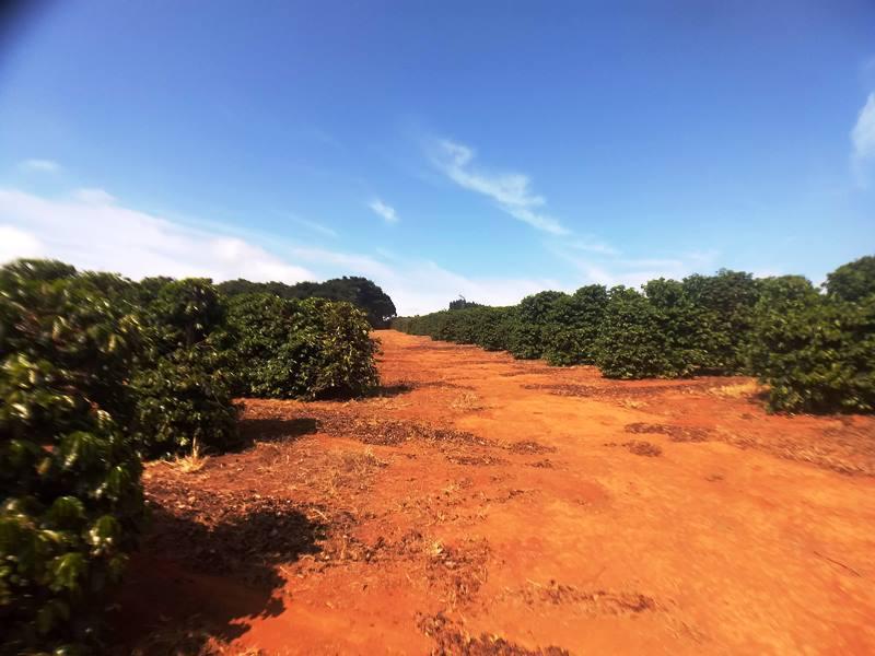 Fazenda, Zona Rural, 0 Quarto, 0 Vaga