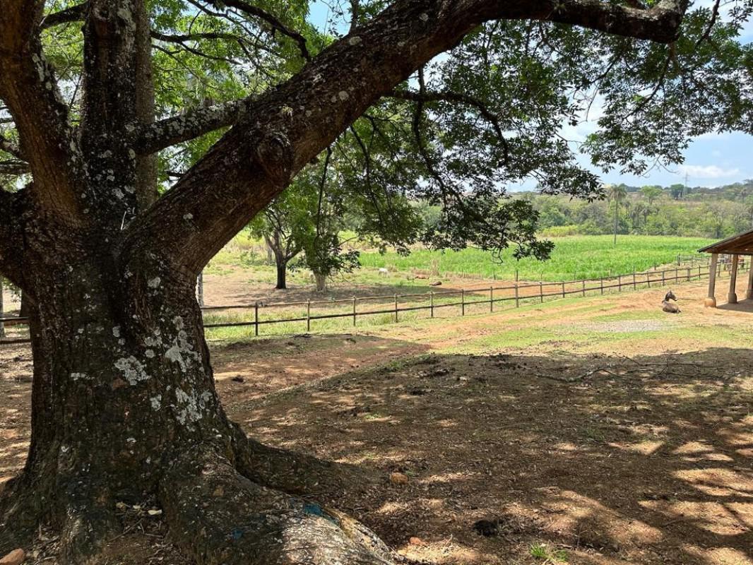 Fazenda, Zona Rural, 4 Quartos, 0 Vaga