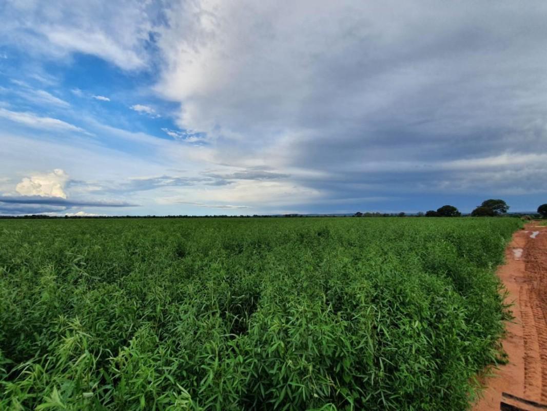 Fazenda, Centro, 0 Quarto, 0 Vaga