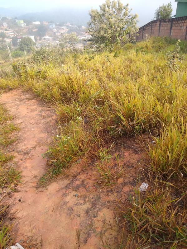 Lote, Icaivera, 0 Quarto, 0 Vaga