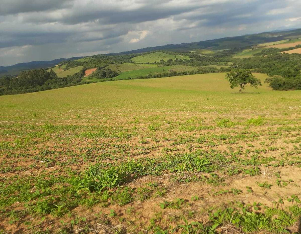 Fazenda, Centro, 0 Quarto, 0 Vaga