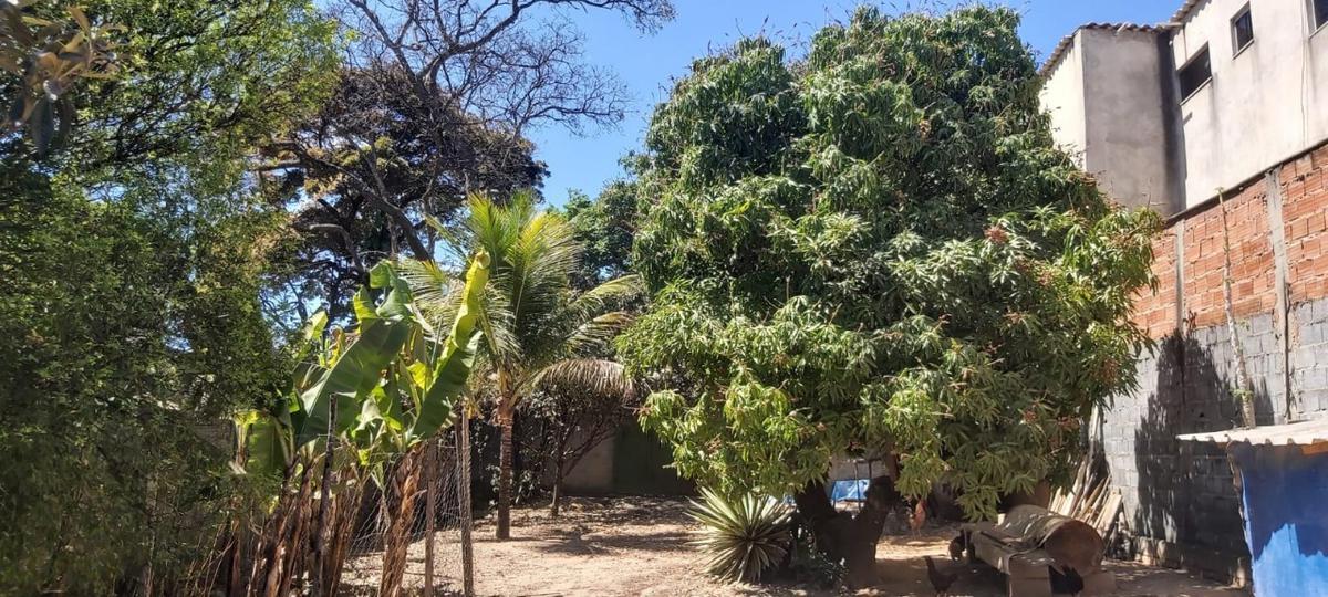 Lote, Trevo, 0 Quarto, 0 Vaga