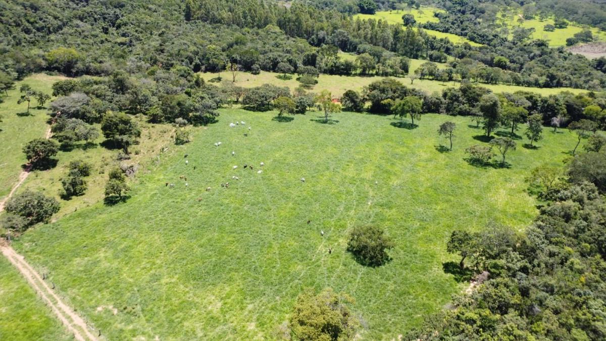Fazenda, Zona Rural, 0 Quarto, 0 Vaga