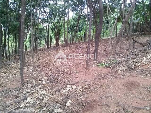 Área Privativa, Chácara Cotia, 0 Quarto, 0 Vaga, 0 Suíte