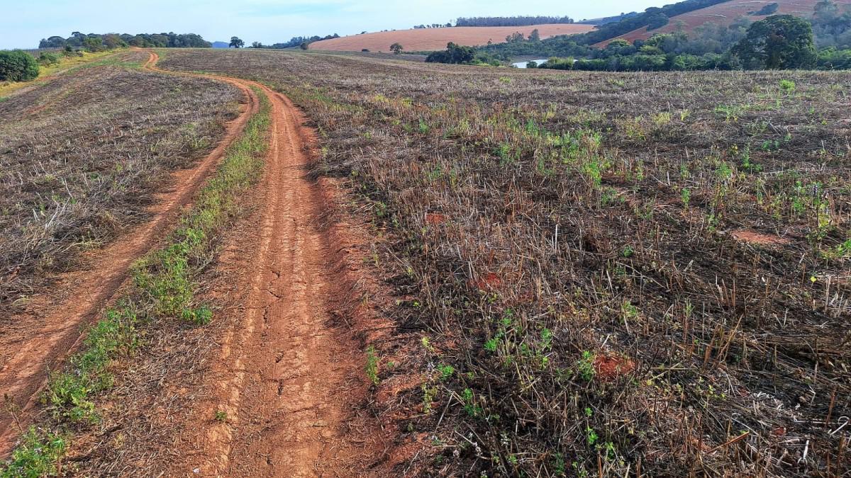 Fazenda, Zona Rural, 0 Quarto, 0 Vaga