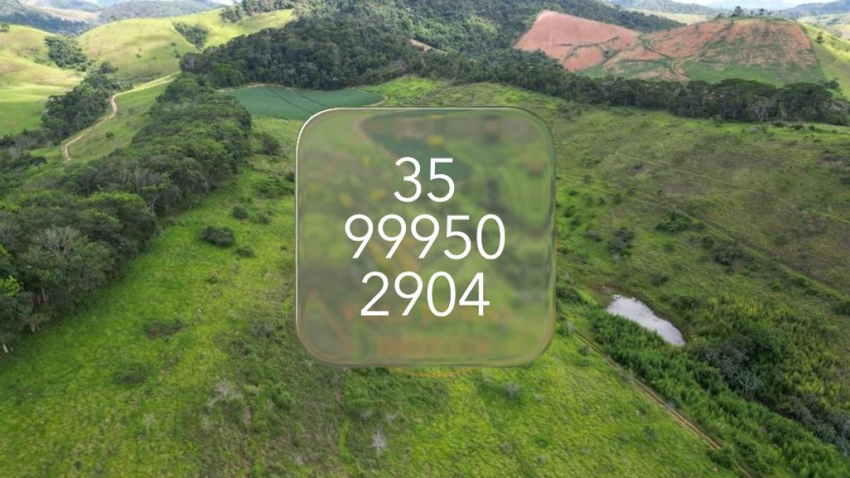 Fazenda, Area Rural de Juiz de Fora, 0 Quarto, 0 Vaga