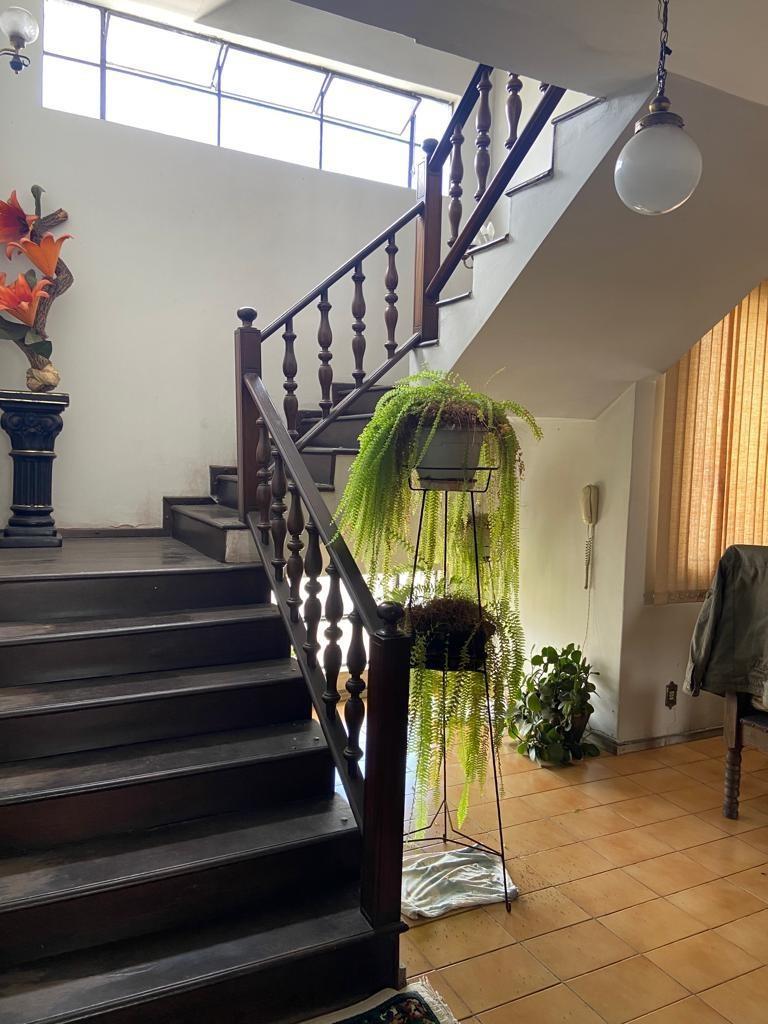Apartamento, Barro Preto, 5 Quartos, 0 Vaga, 2 Suítes