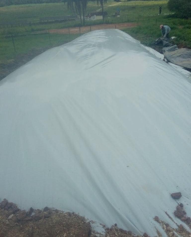 Fazenda, Zona Rural, 4 Quartos, 0 Vaga