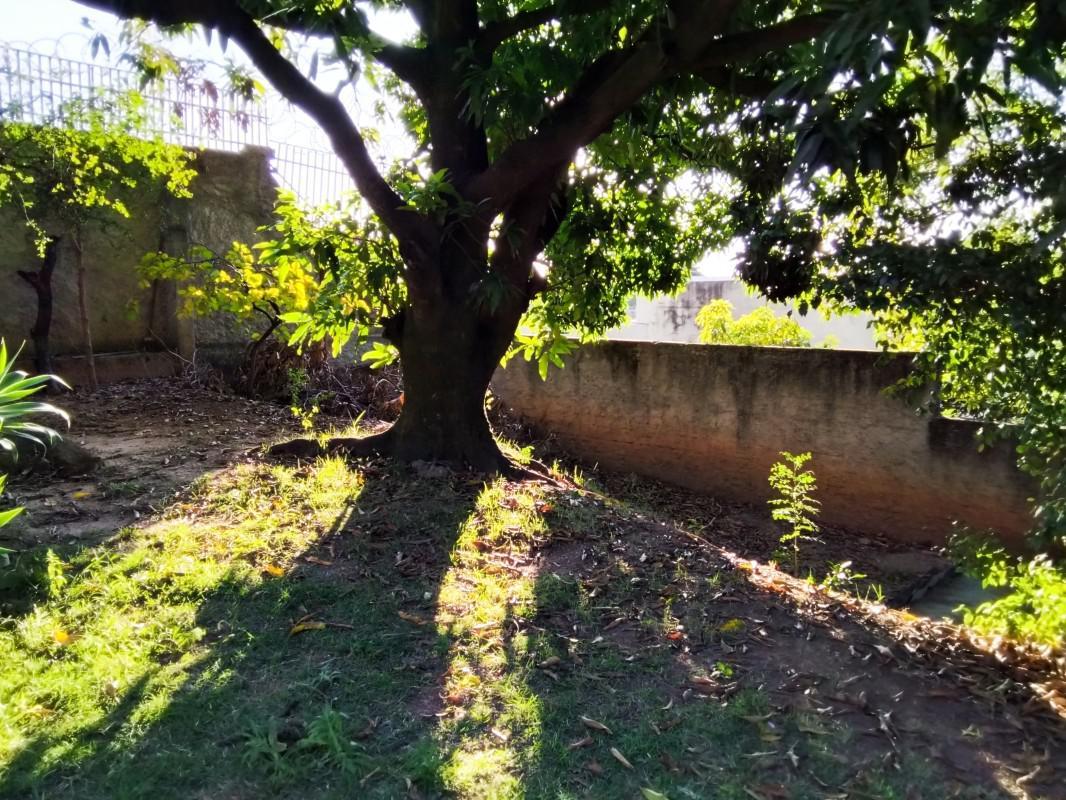 Casa, Amazonas, 3 Quartos, 2 Vagas, 1 Suíte