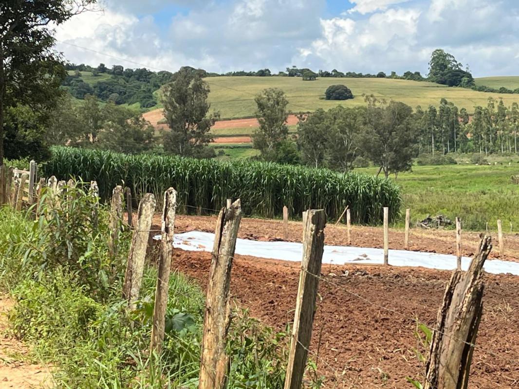 Fazenda, Zona Rural, 0 Quarto, 0 Vaga