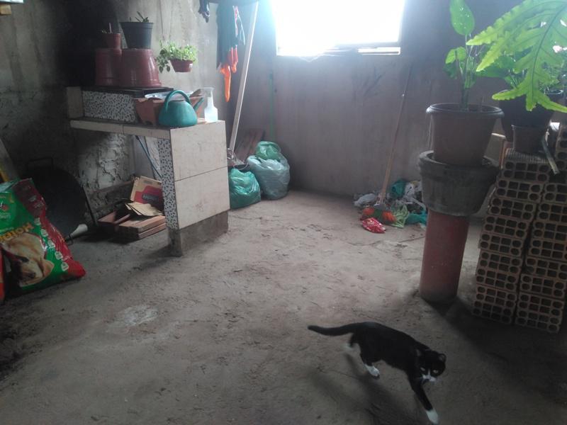 Casa, Tropical, 3 Quartos, 0 Vaga