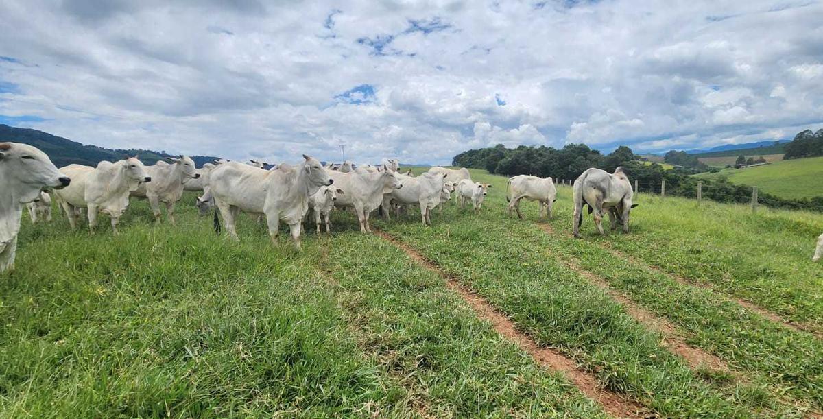 Fazenda, Zona Rural, 3 Quartos, 1 Vaga