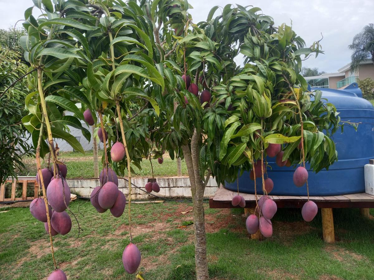 Fazenda, Serra Morena, 3 Quartos, 10 Vagas, 1 Suíte