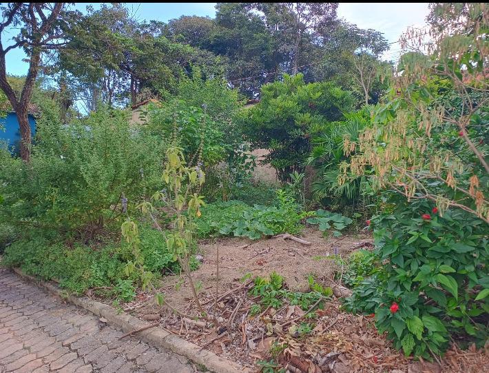 Lote, Granja Vista Alegre, 0 Quarto, 0 Vaga