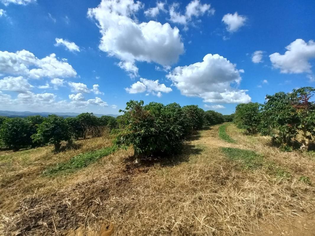 Fazenda, Zona Rural, 5 Quartos, 0 Vaga, 1 Suíte