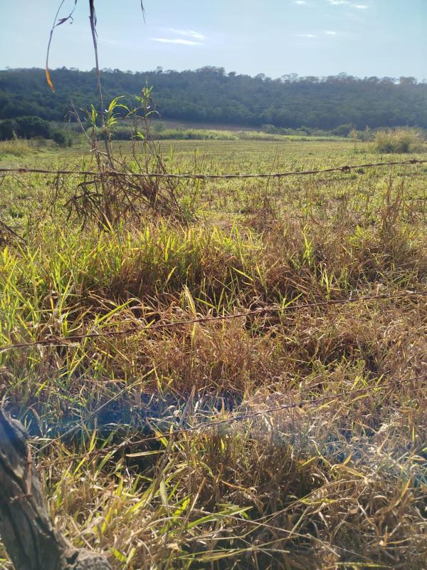 Fazenda, Zona Rural, 0 Quarto, 0 Vaga