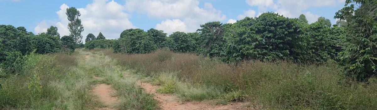 Fazenda, Zona Rural, 3 Quartos, 0 Vaga