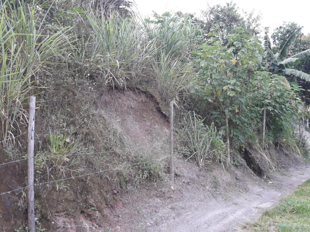 Lote, Morro São Francisco, 0 Quarto, 0 Vaga
