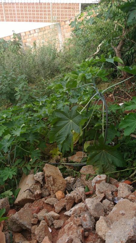 Lote, Icaivera, 0 Quarto, 0 Vaga