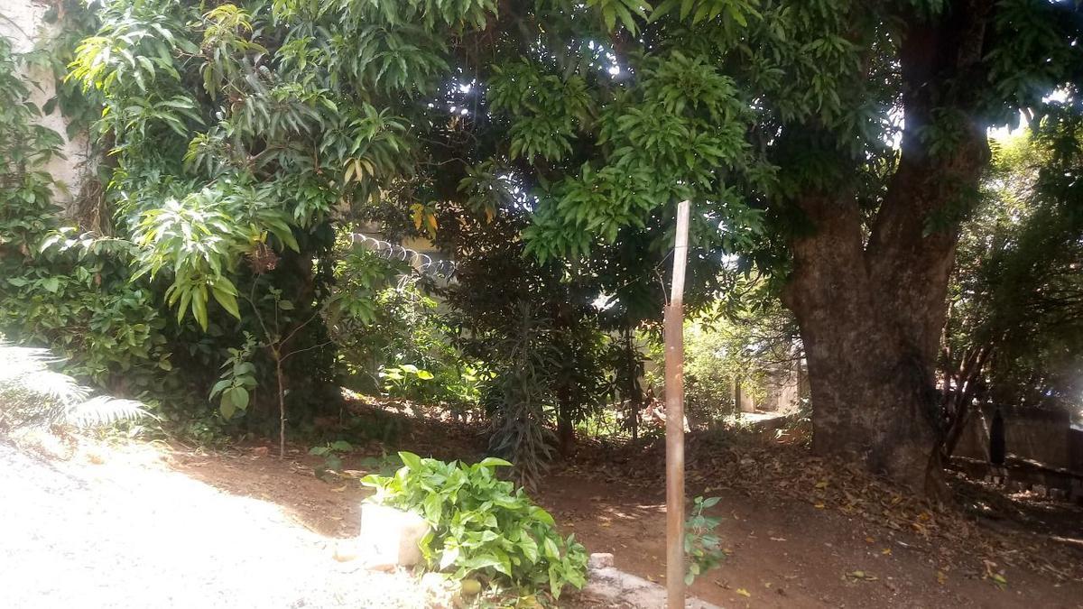 Casa, Centro, 3 Quartos, 2 Vagas