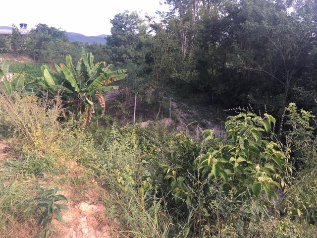 Lote, Zona Rural, 0 Quarto, 0 Vaga