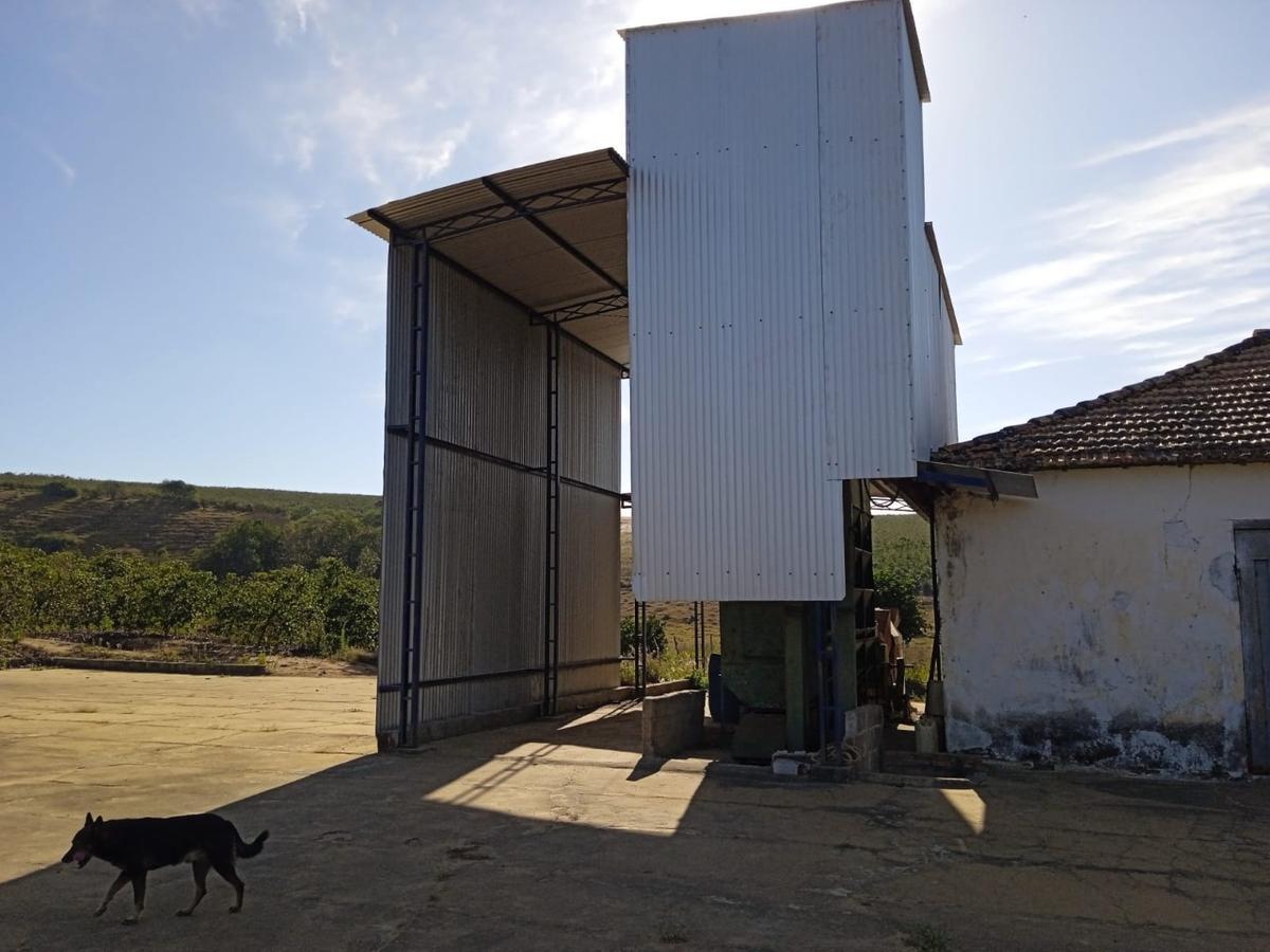 Fazenda, Zona Rural, 0 Quarto, 0 Vaga