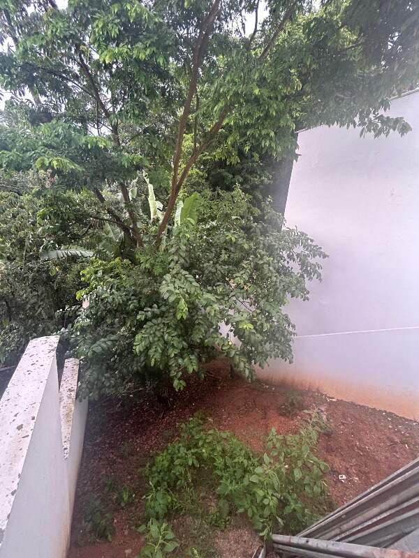 Casa, Vila Cristina, 3 Quartos, 2 Vagas, 1 Suíte