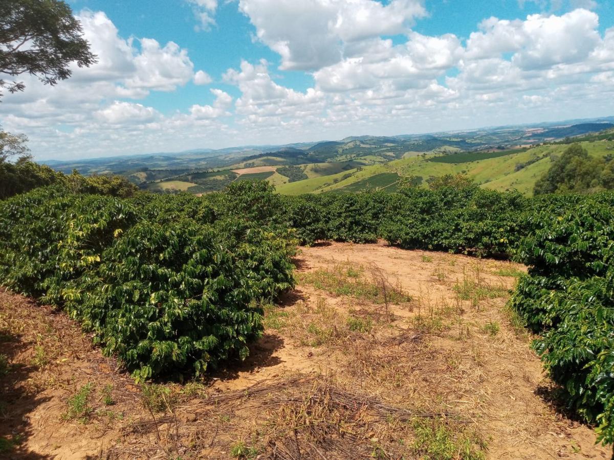 Fazenda, Zona Rural, 0 Quarto, 0 Vaga