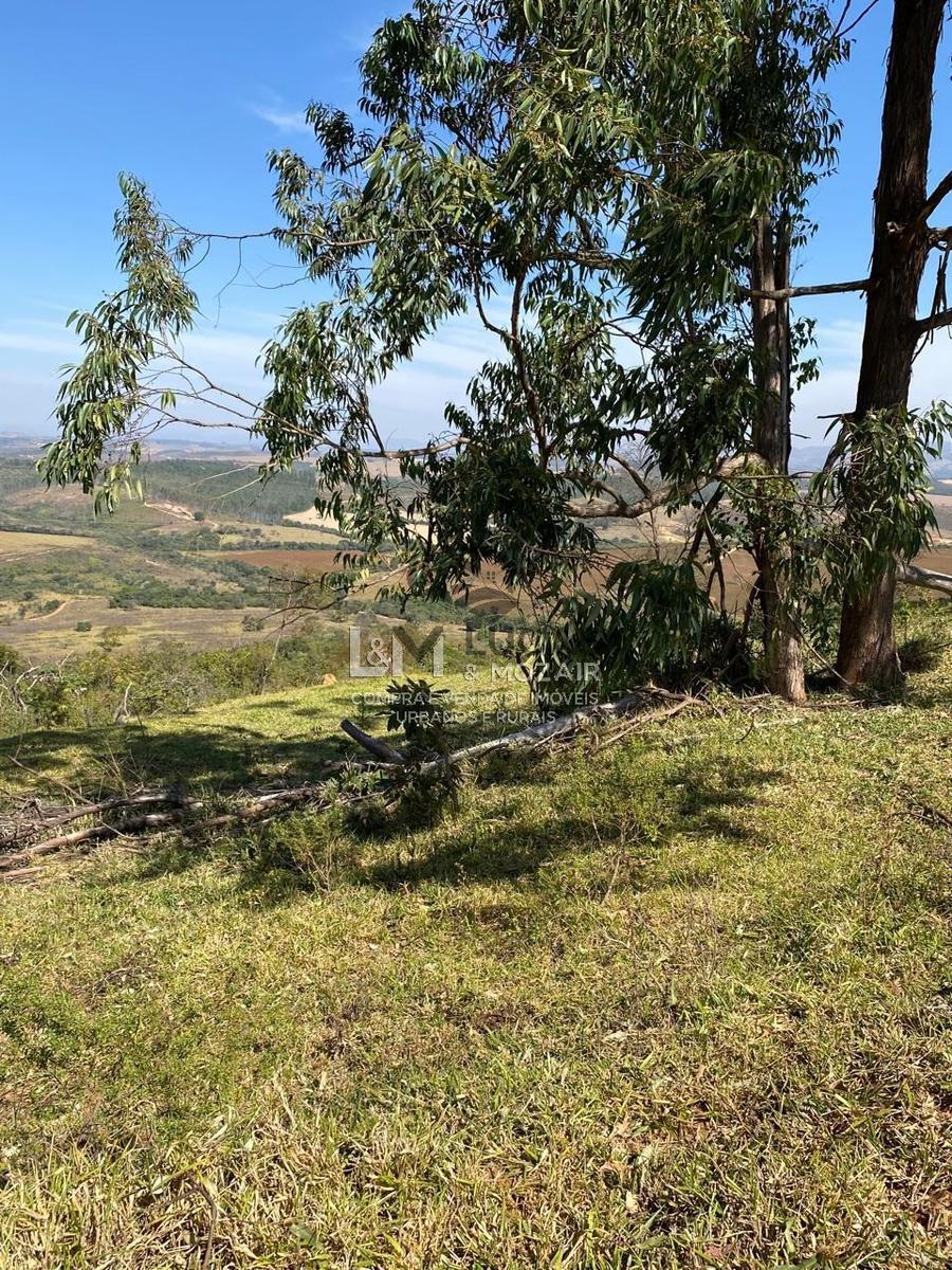 Fazenda, Zona Rural, 7 Quartos, 0 Vaga, 1 Suíte