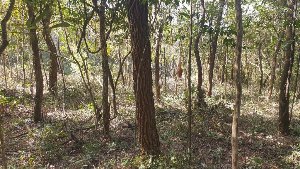 Lote em Condomínio, Quintas do Sol