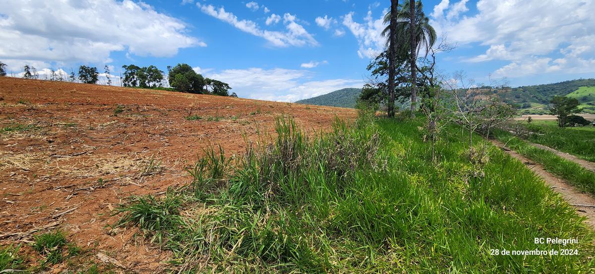 Fazenda, Zona Rural, 2 Quartos, 0 Vaga