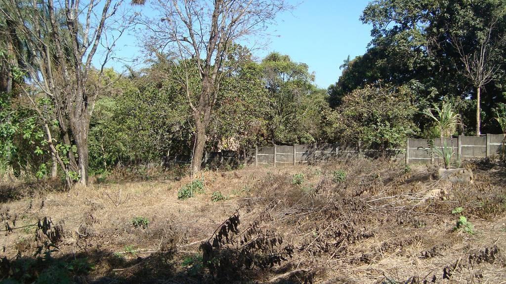 Lote, Manoa, 0 Quarto, 0 Vaga