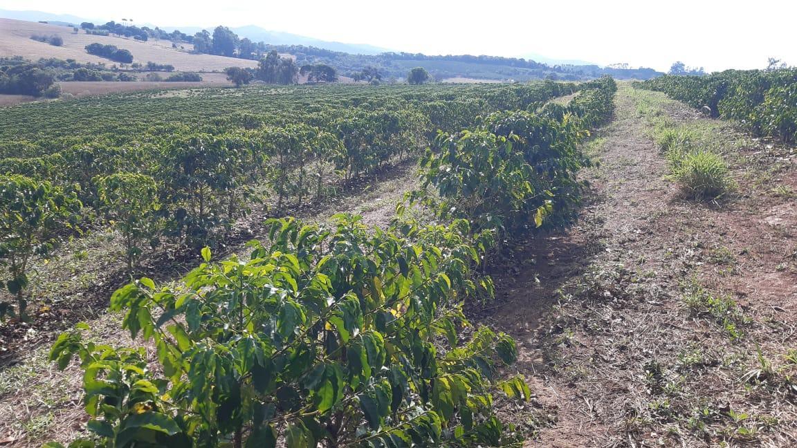 Fazenda, Centro, 3 Quartos, 1 Vaga