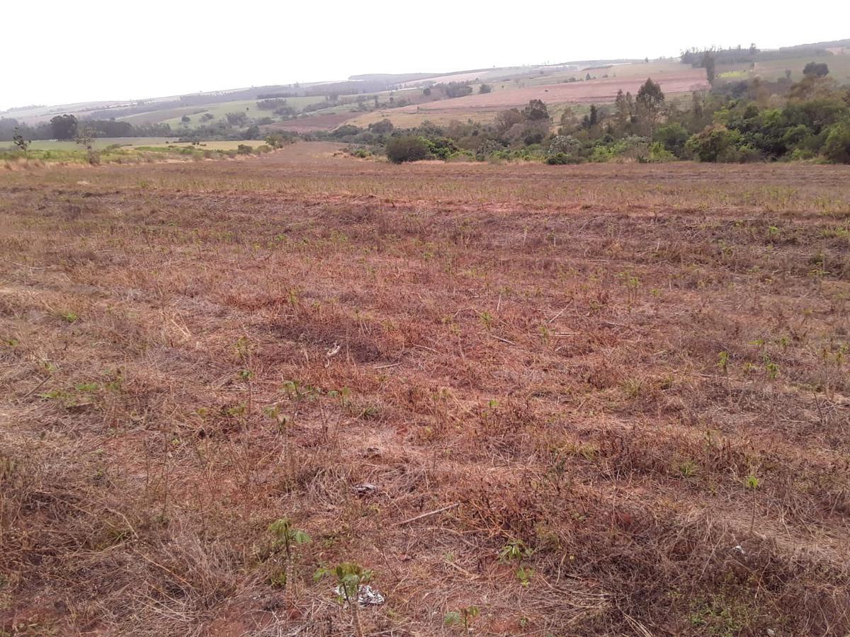 Lote, Centro, 3 Quartos, 0 Vaga