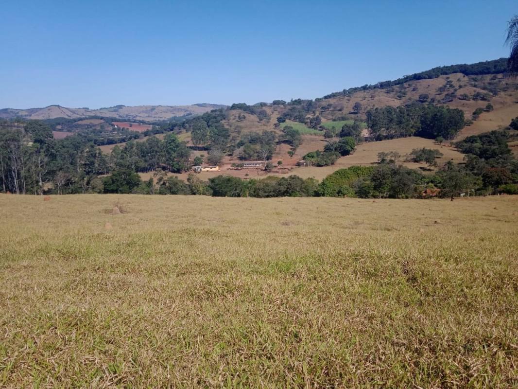 Fazenda, Centro, 0 Quarto, 0 Vaga