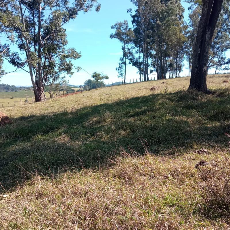 Fazenda, Zona Rural, 0 Quarto, 0 Vaga